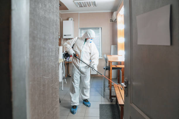Best Dehumidification Services  in Springdale, NJ