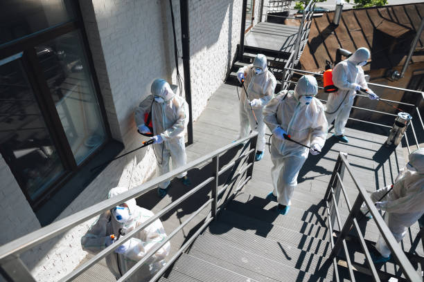 Best Mold Documentation for Insurance Claims  in Springdale, NJ