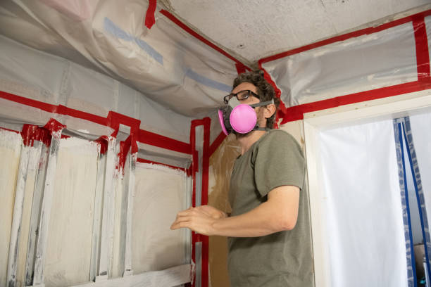 Best Air Quality Testing for Mold Spores  in Springdale, NJ
