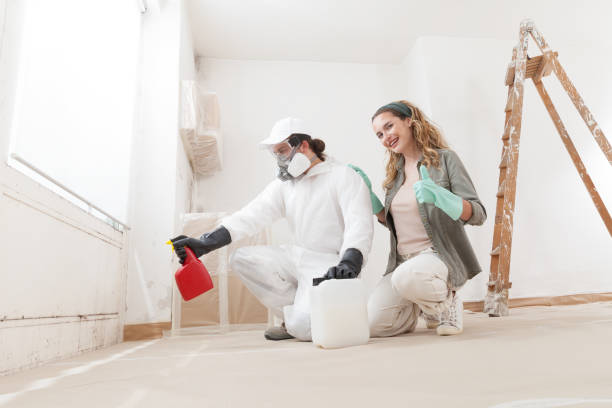 Best Real Estate Mold Inspection  in Springdale, NJ